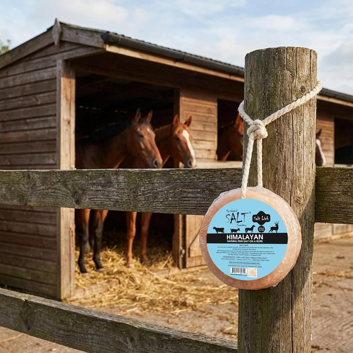 Himalayan Salt Lick for Horses & Livestock – 4 Pack (4.4 lb Each) | 100% Natural Pink Salt on Rope | Supports Hydration, Digestion & Overall Wellness (4)