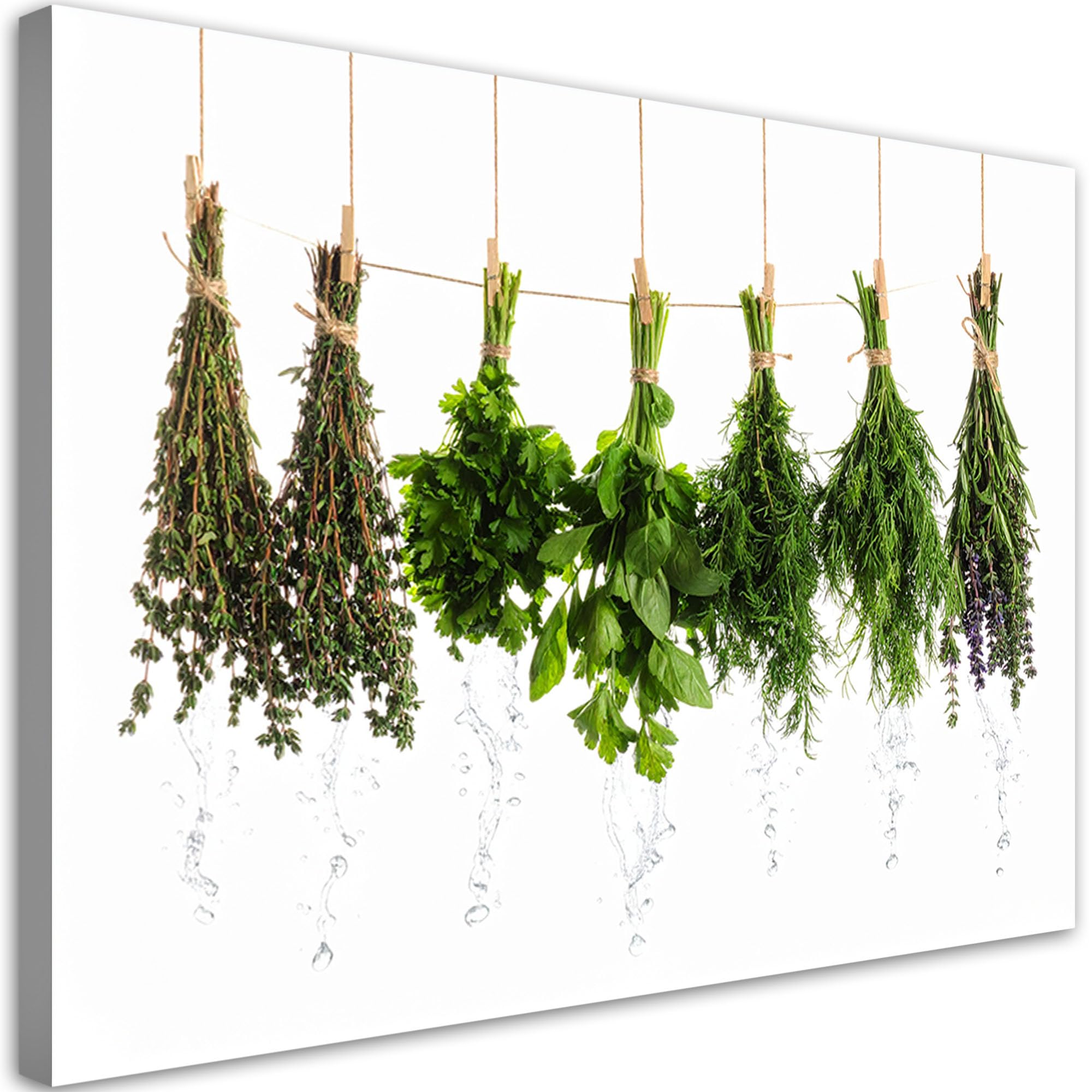 Feeby Stampa su Tela - Quadro su tela per la cucina - Quadro moderno - Erbe aromatiche piante - 100x70 cm - Decorazioni Parete