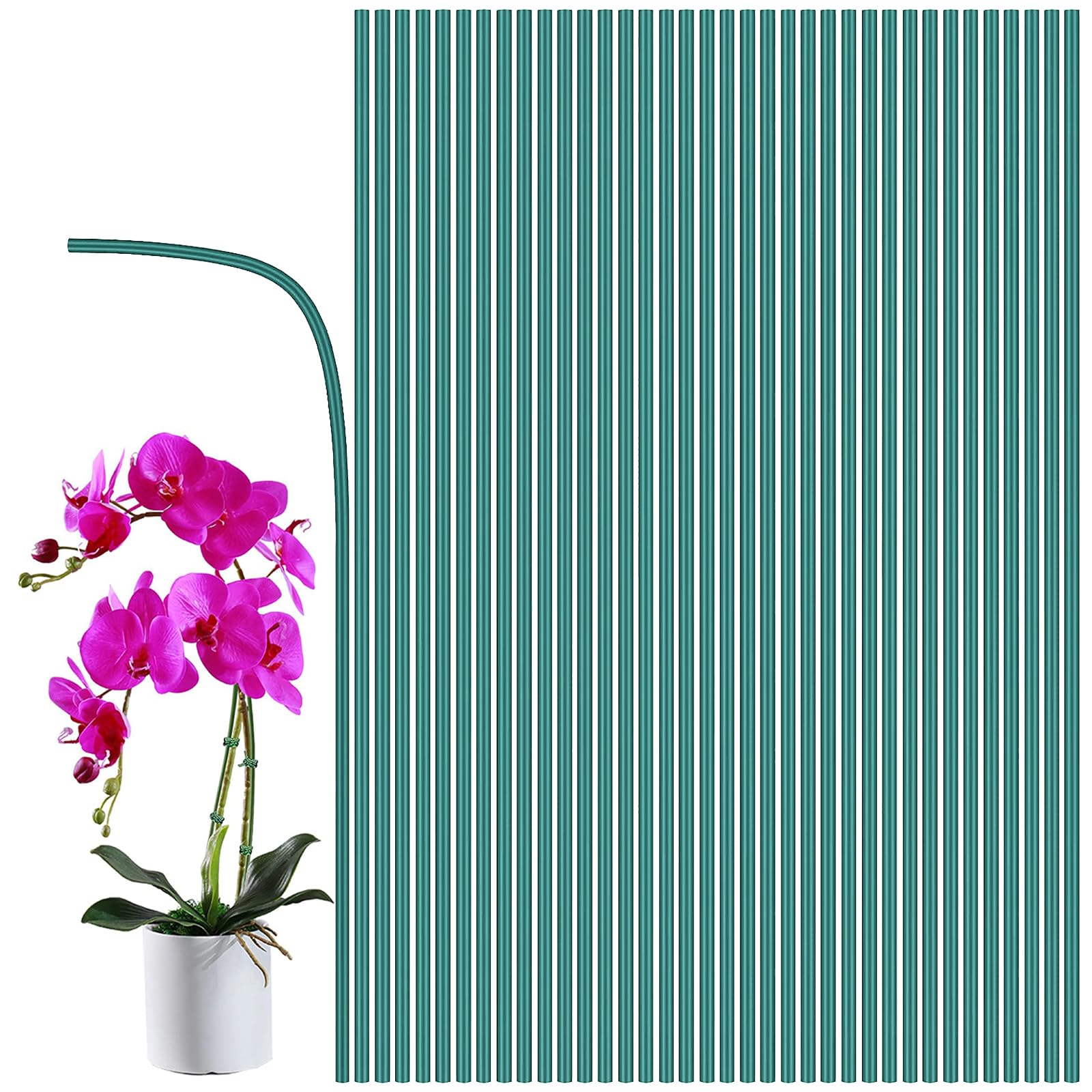 Plants Stakes Plant Support Sticks 20PCS Metal Garden Canes Coated Steel Sticks Garden Stakes Suitable for Flowers Potted Plants Vine and Climbing Plants