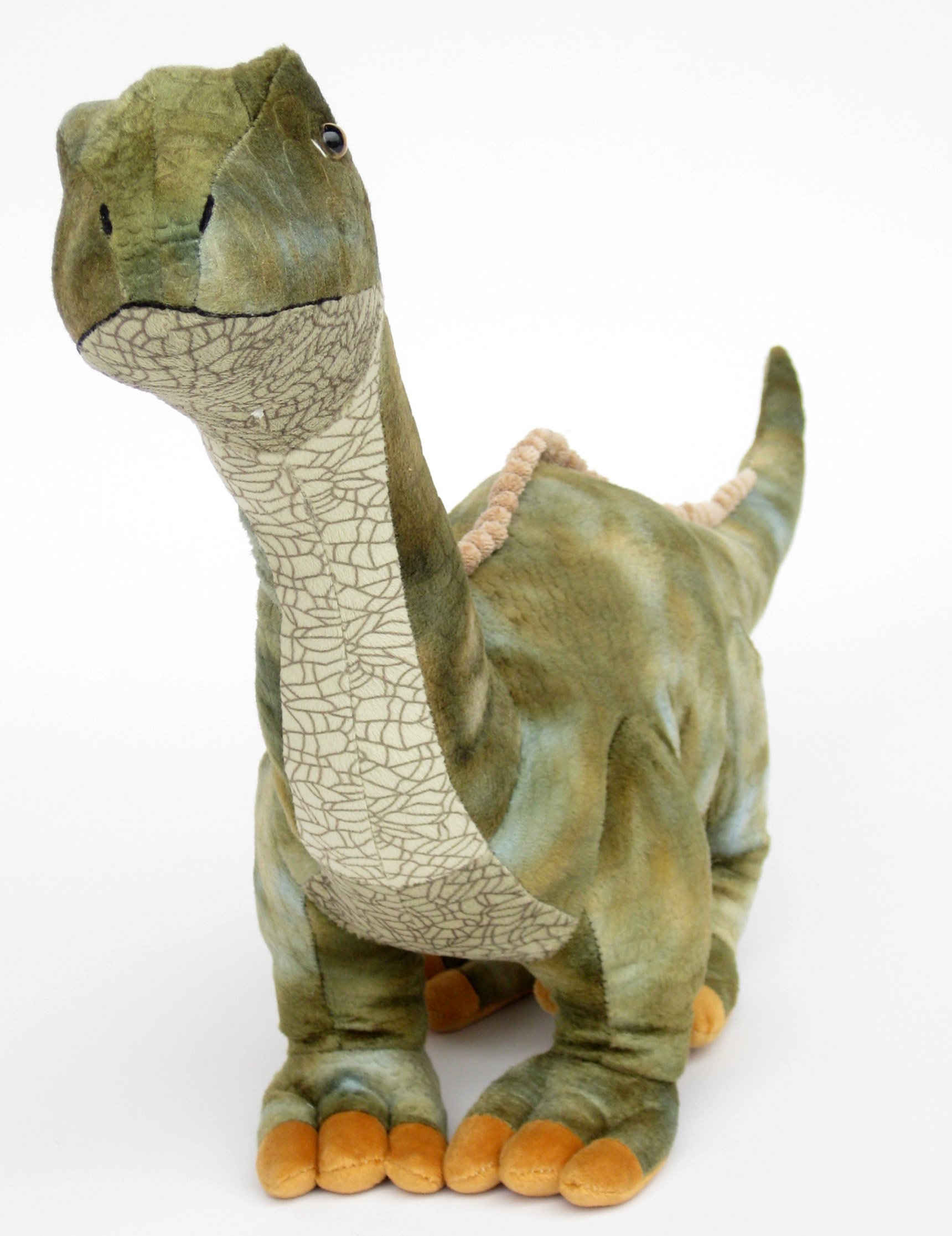 Fondo Aislado De Dinosaurio Brontosauro Imagen de archivo - Imagen de