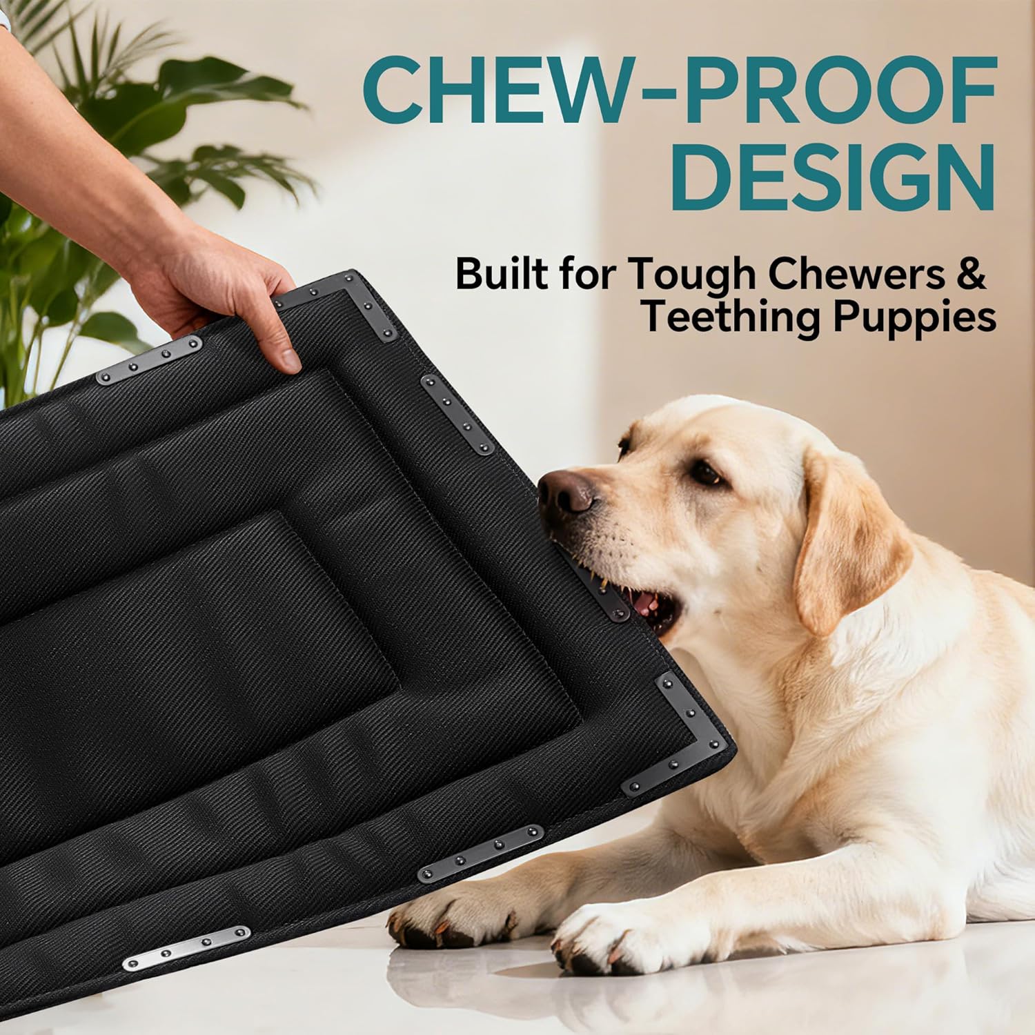 HOMBYS Chew Proof Foam Dog Bed 41"x28" with 14 Reinforced Metal Rivets, Indestructible Crate Pad for Large Dogs, Super Chew Resistant Fabric & Water Washable Kennel Mat, Black