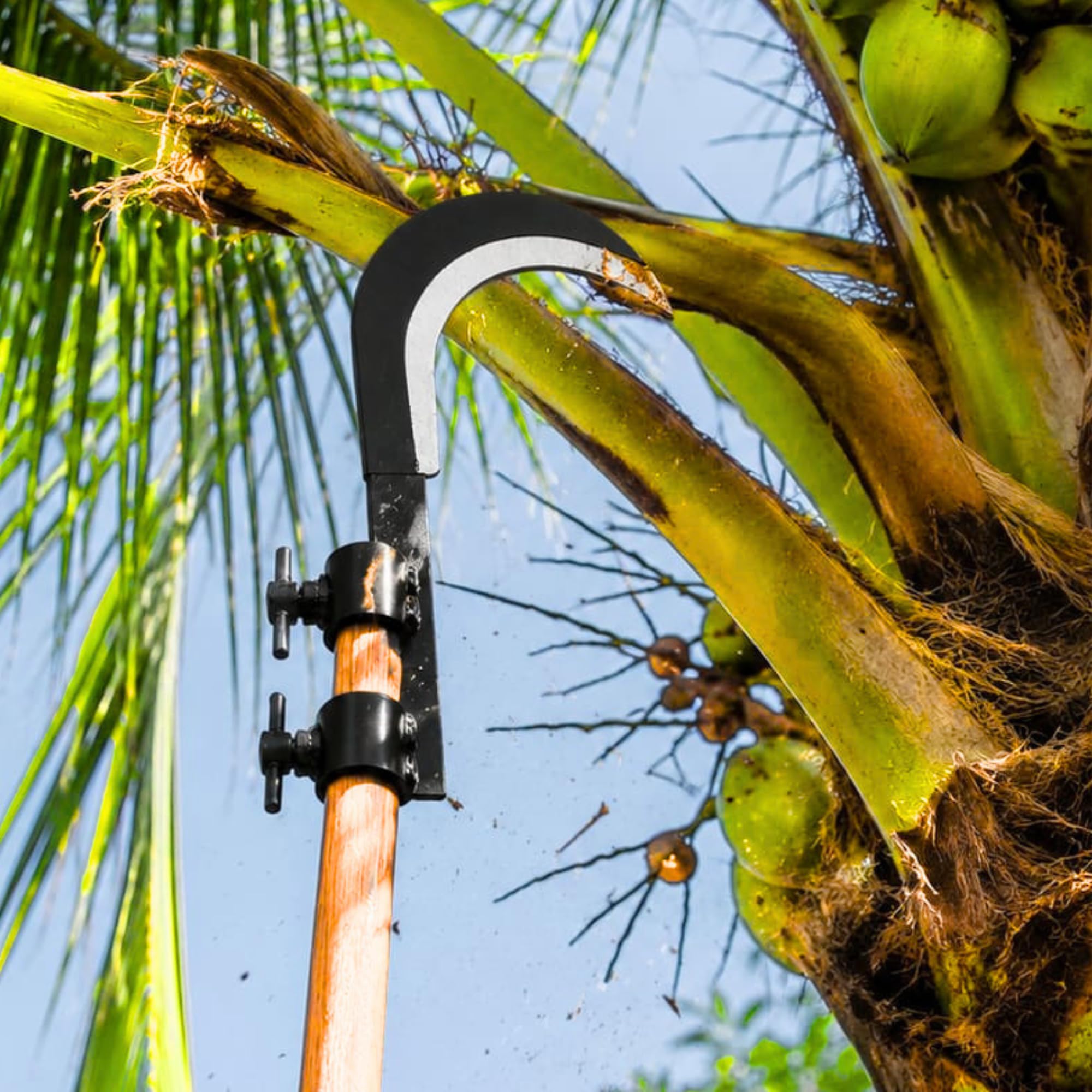 Coconut Grass Sickle Cutter Head | Heavy Coconut Plucker with Adjustable Handle Clamp | Razor- Sharp Metal Blade for Tree Branches, Grass, Weeds, Gardening | Multipurpose Agricultural Hand Tool-picture-26
