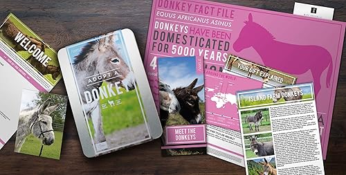 Miniatura 5 de Donkey Adopt It - Lata de adopción de animales de caridad