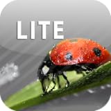 ColorUp Lite