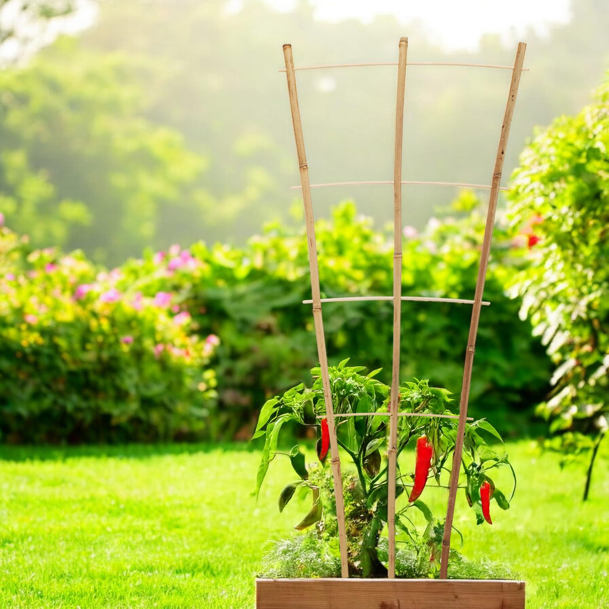 Grata Per Piante Rampicanti 6 Tralicci Per Piante Rampicanti In - Foto 9