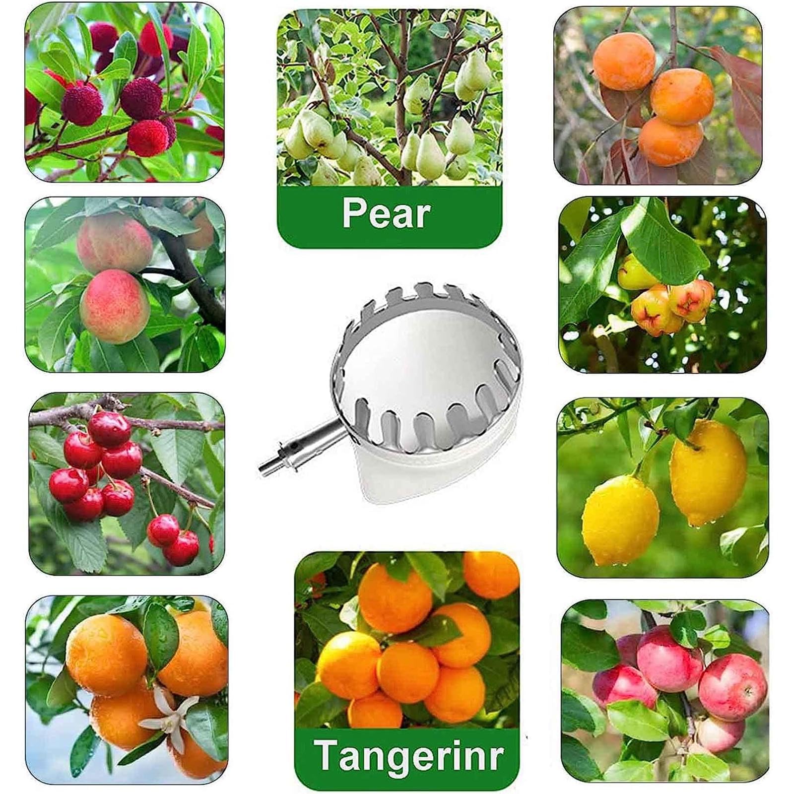 DELORM Obstpflücker-Werkzeug, Obstpflück-erntemaschine Mit Ausziehbarer Teleskopstange Und Rutschfestem Griff, Obstpflückausrüstung Für Die Ernte Von Birnen, Zitronen Und Orangen
