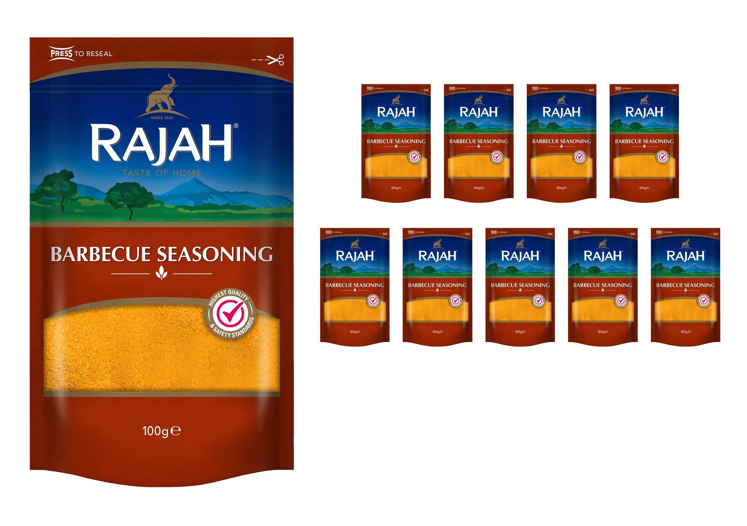 Seasoning Raja Rasa Rajah Spices Barbeque Seasoning | (10 x 100g) : Amazon.co.uk: Grocery