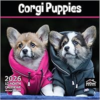 Vista 52 de MICASA PRESS Corgi Butts - Calendario de pared 2026 de 12 meses 12 x 24 pulgadas abierto Papel grueso y resistente Regalo de vacaciones