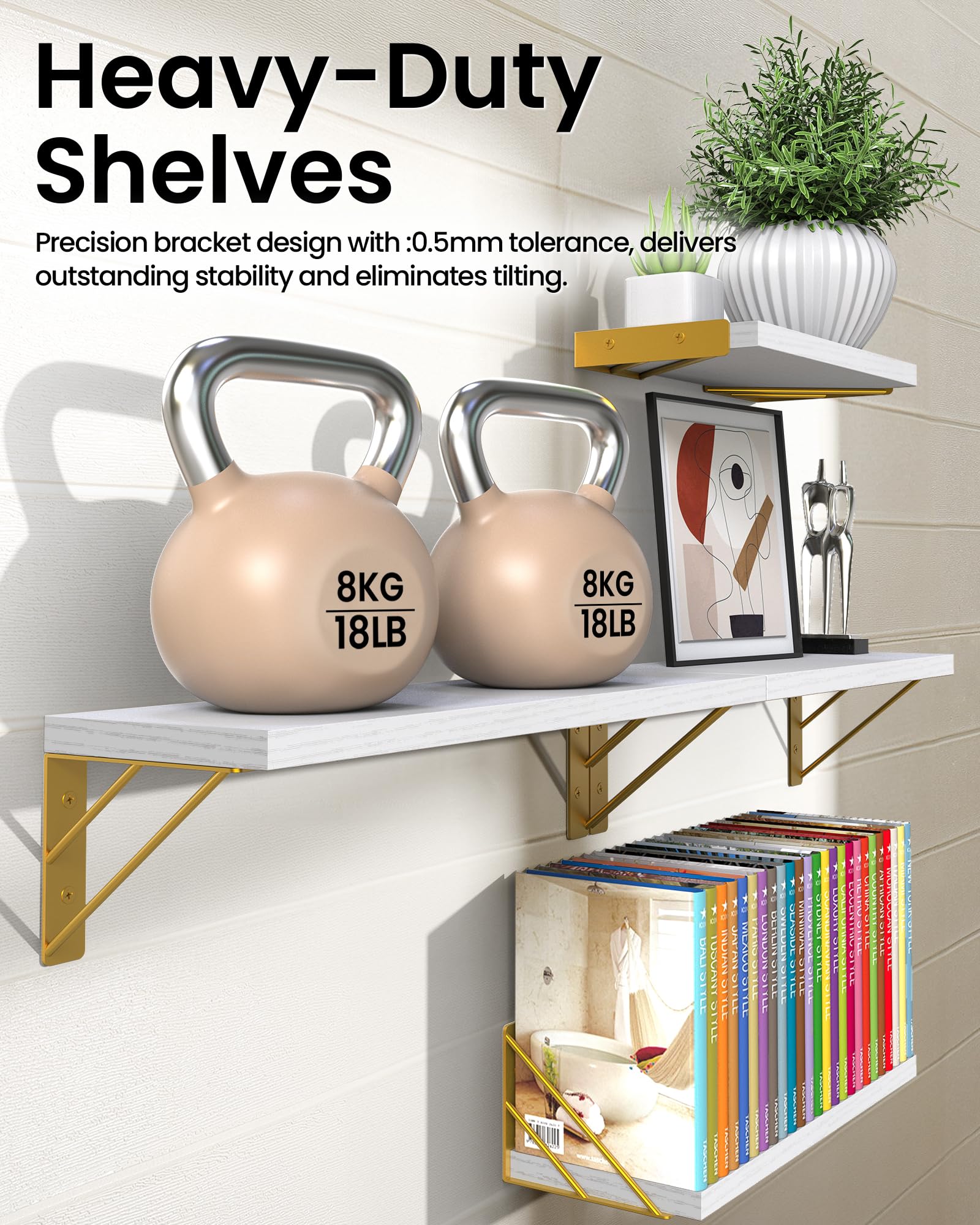 https://m.media-amazon.com/images/I/81VnDRdm-UL.jpg