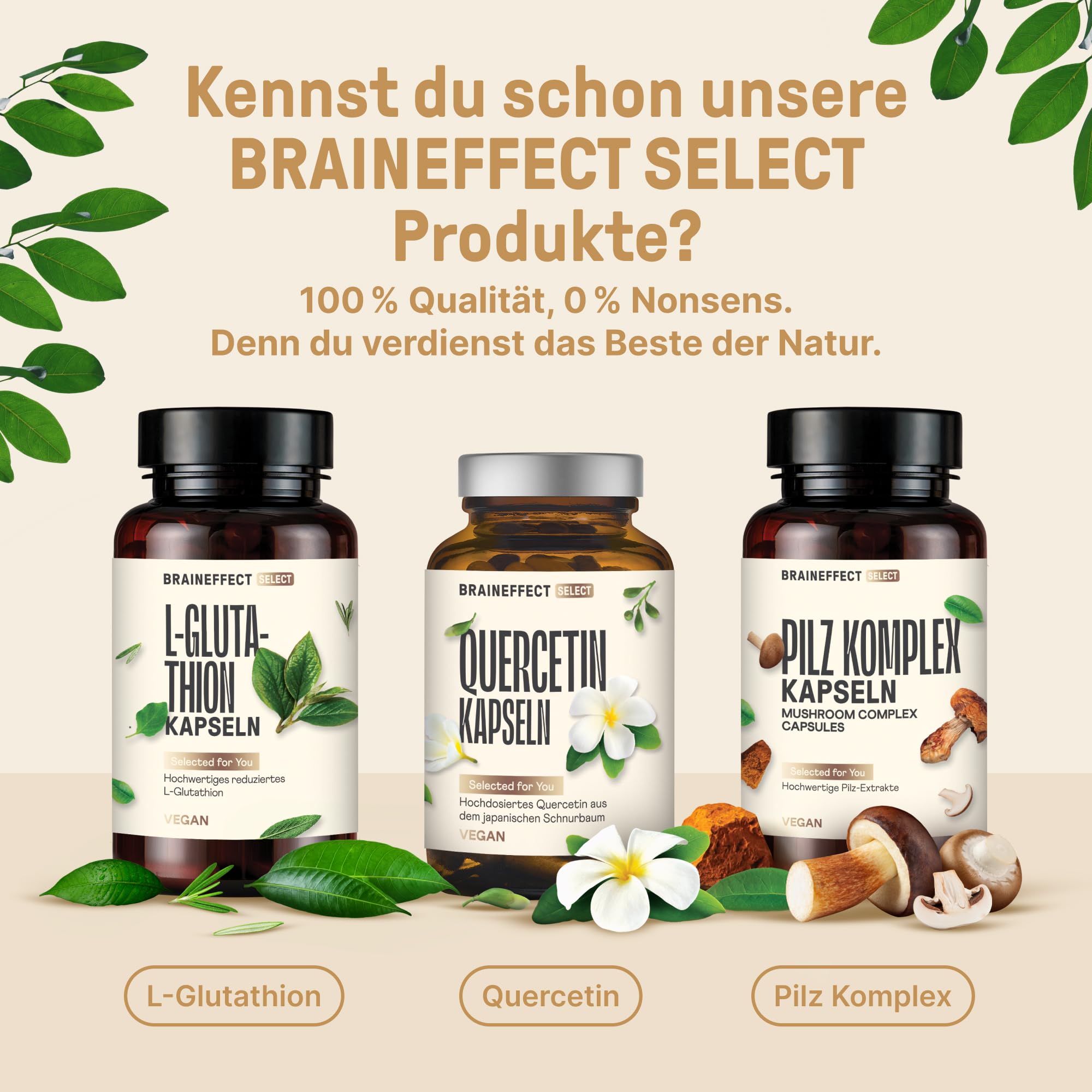 Pinienrinden Extrakt 120 Kapseln - Laborgeprüft nach deutschen Standards, Kiefernrinden Extrakt - Kapseln im Braunglas