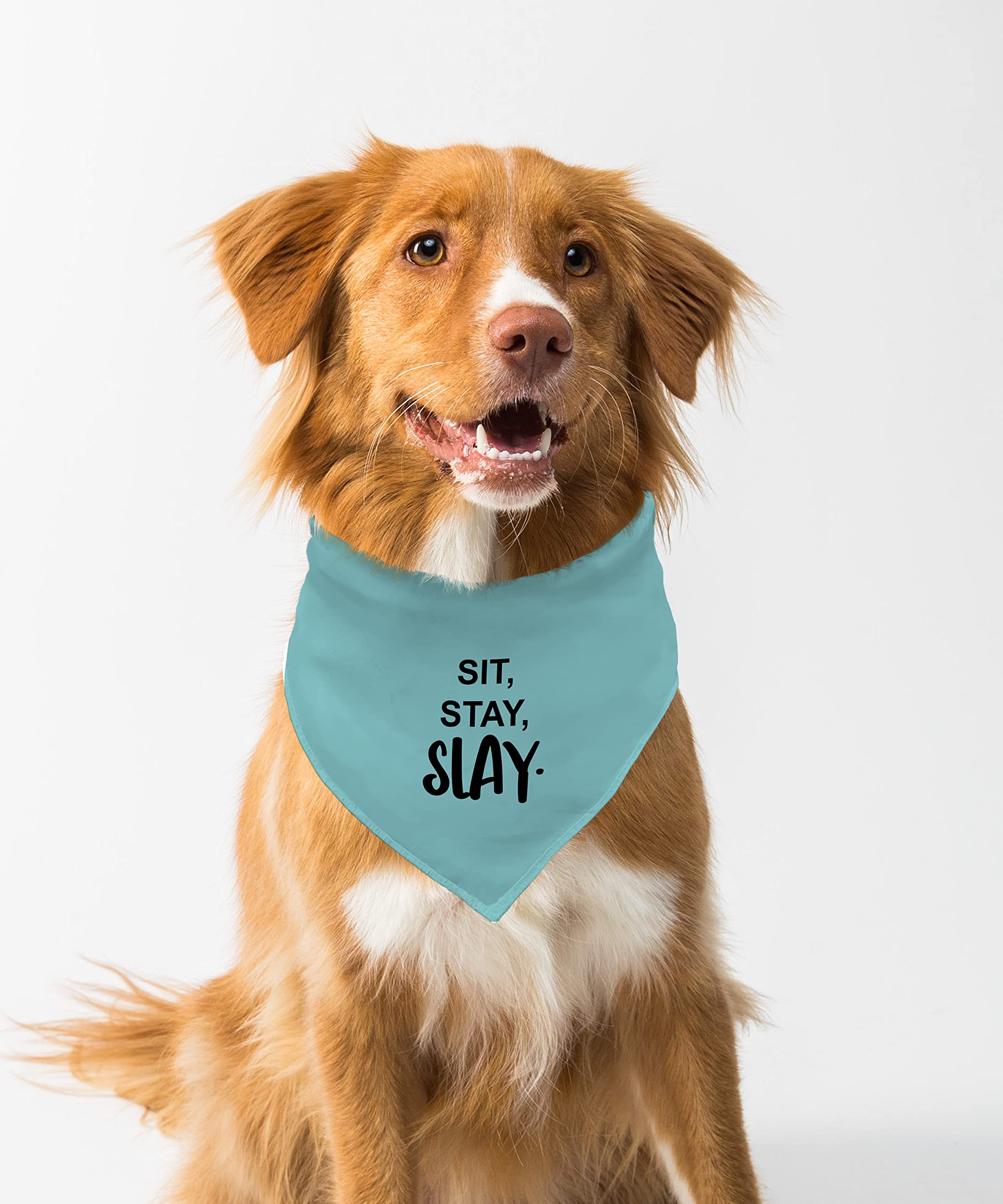 Farnup Dog Bandana | Adjustable & Comfortable, Sit, Stay, Slay., Graphic Printed Bandana for Dogs | Dog Scarf, Accessory | Gifts for Dogs-S/M (B0BZMZGH68) Amazon Price History, Amazon Price Tracker