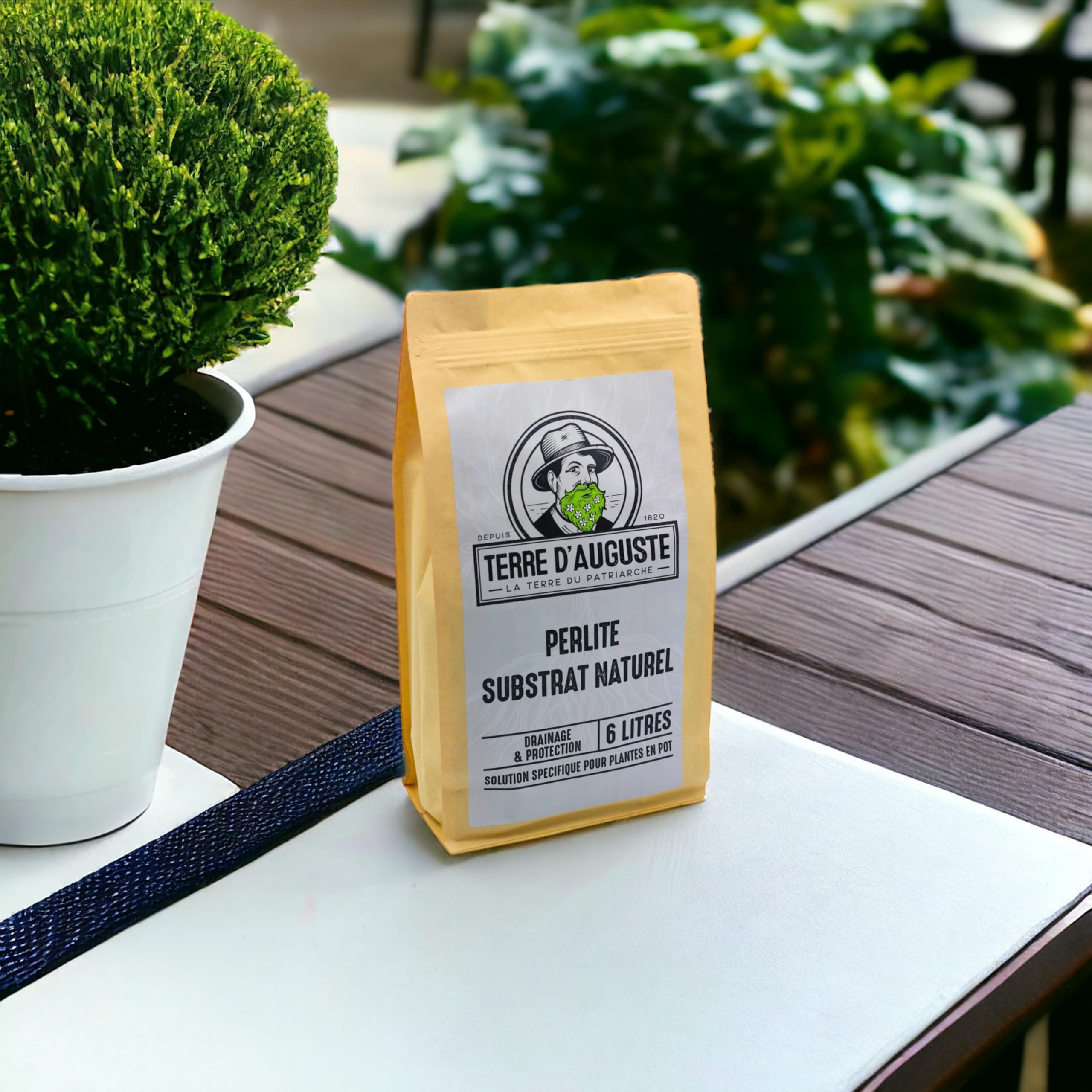 Terre d'Auguste – Perlite pour Plantes et Terrarium 6L – Qualité Supérieure pour Rempotage, Drainage et Aération