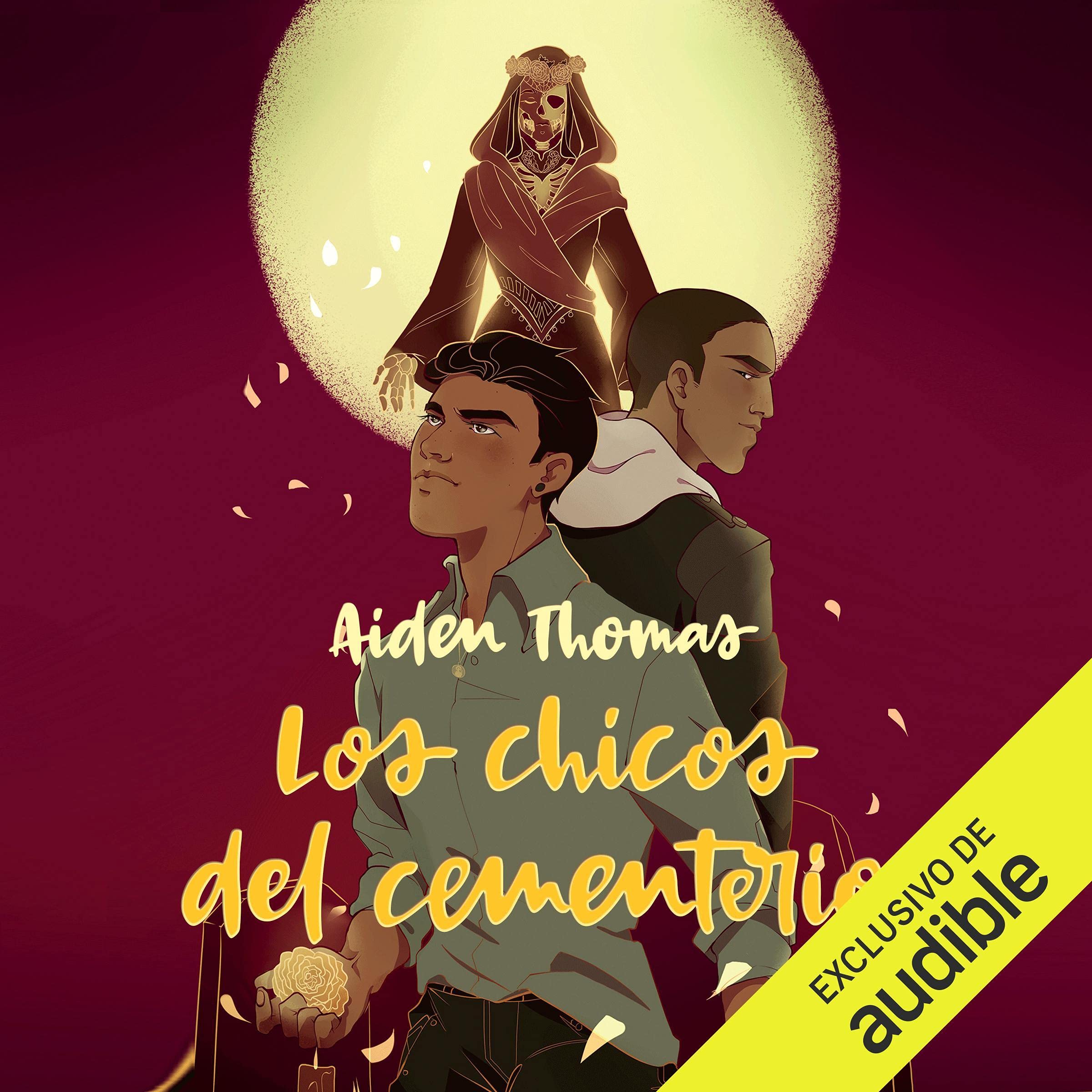 Cover art for Los chicos del cementerio