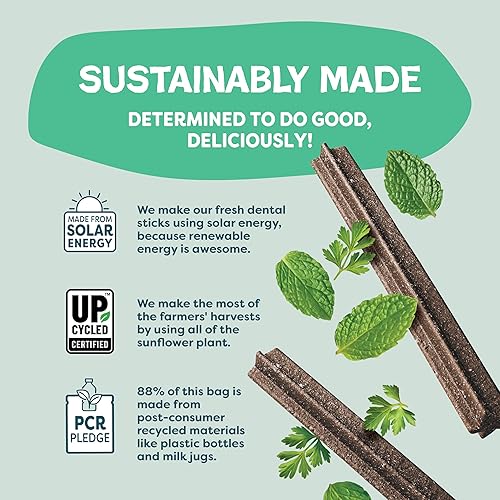 Miniatura 23 de Shameless Pets Golosinas dentales para perros, The Tooth Berry, palitos dentales saludables con apoyo inmunológico para limpieza de dientes