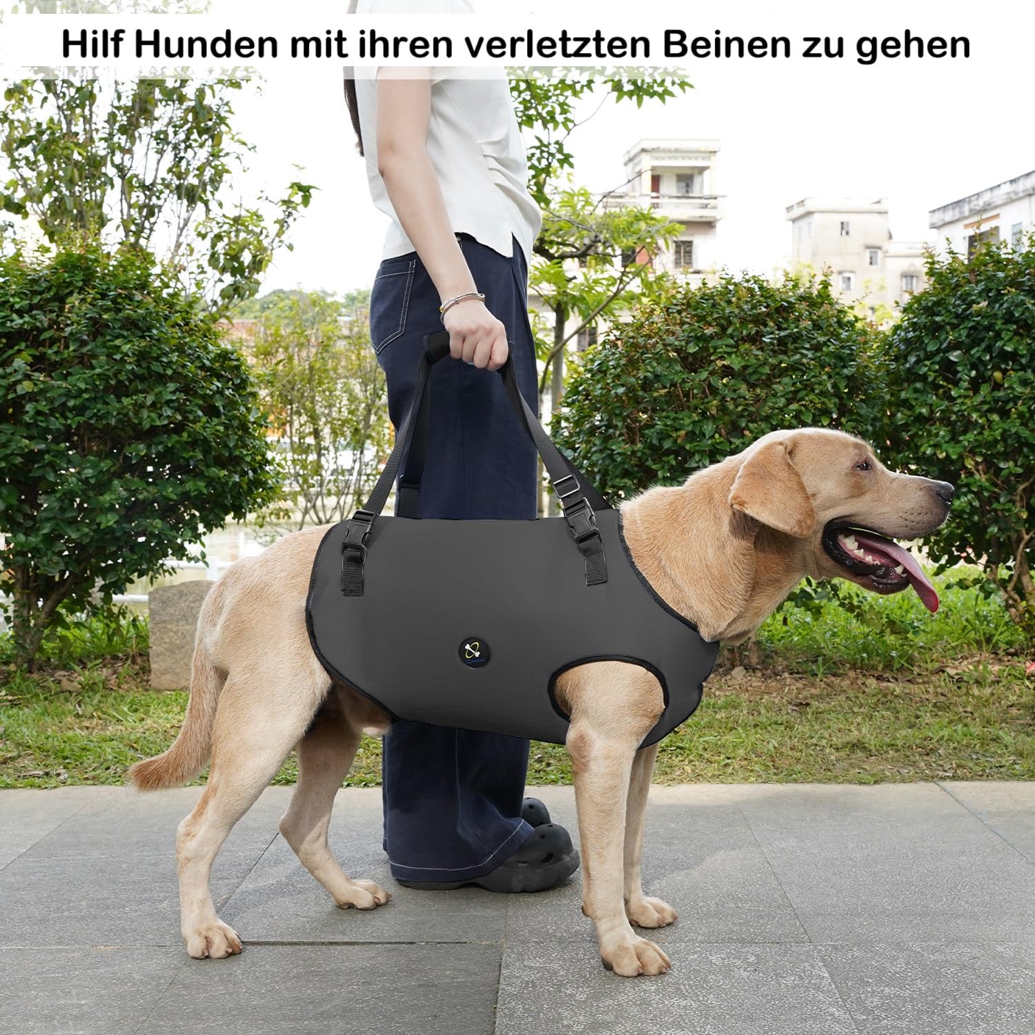 Coodeo Hundeliftgeschirr, Haustierunterstützung & Rehabilitation Sling Lift Verstellbare Gepolsterte atmungsaktive Gurte für Alt, Gelenkverletzungen, Arthritis, Stabilitätsverlust Hunde(Schwarz, 2XL)