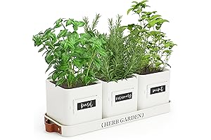 PERFNIQUE Kitchen Herb Garden Planter