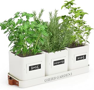 PERFNIQUE Farmhouse Indoor Herb Garden Planter Set with Tray - 3 White Metal Pots, Drainage Holes, Windowsill Herb Pots for Kitchen Indoor Outdoor