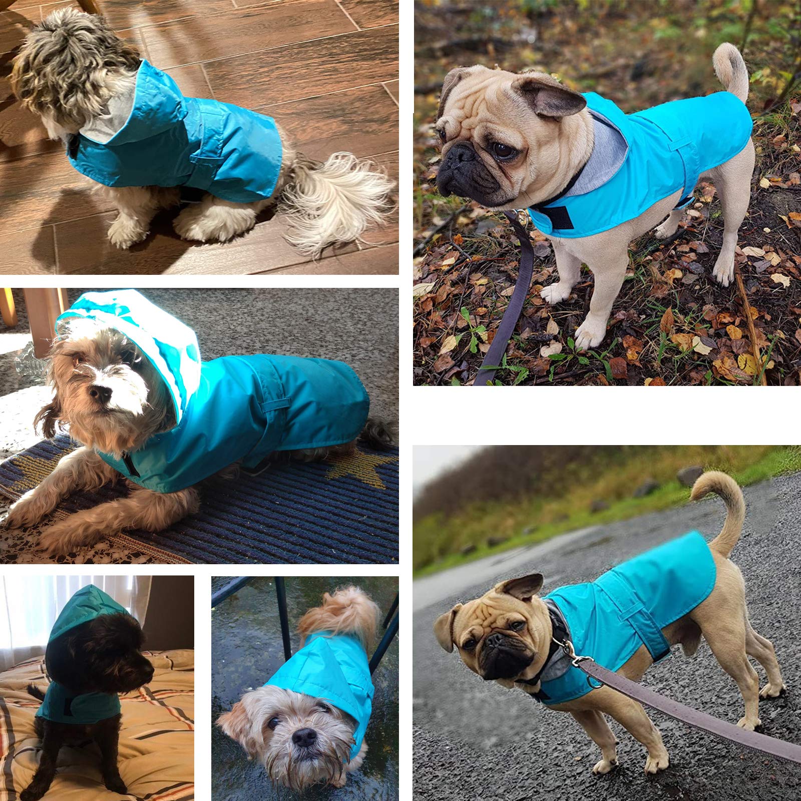 LeerKing Hunderegenmantel mit weichem Futter Regenjacke Wasserdicht Regenmantel Hund für kleine, mittlere und große Hunde Länge 11 bis 71 Blau S