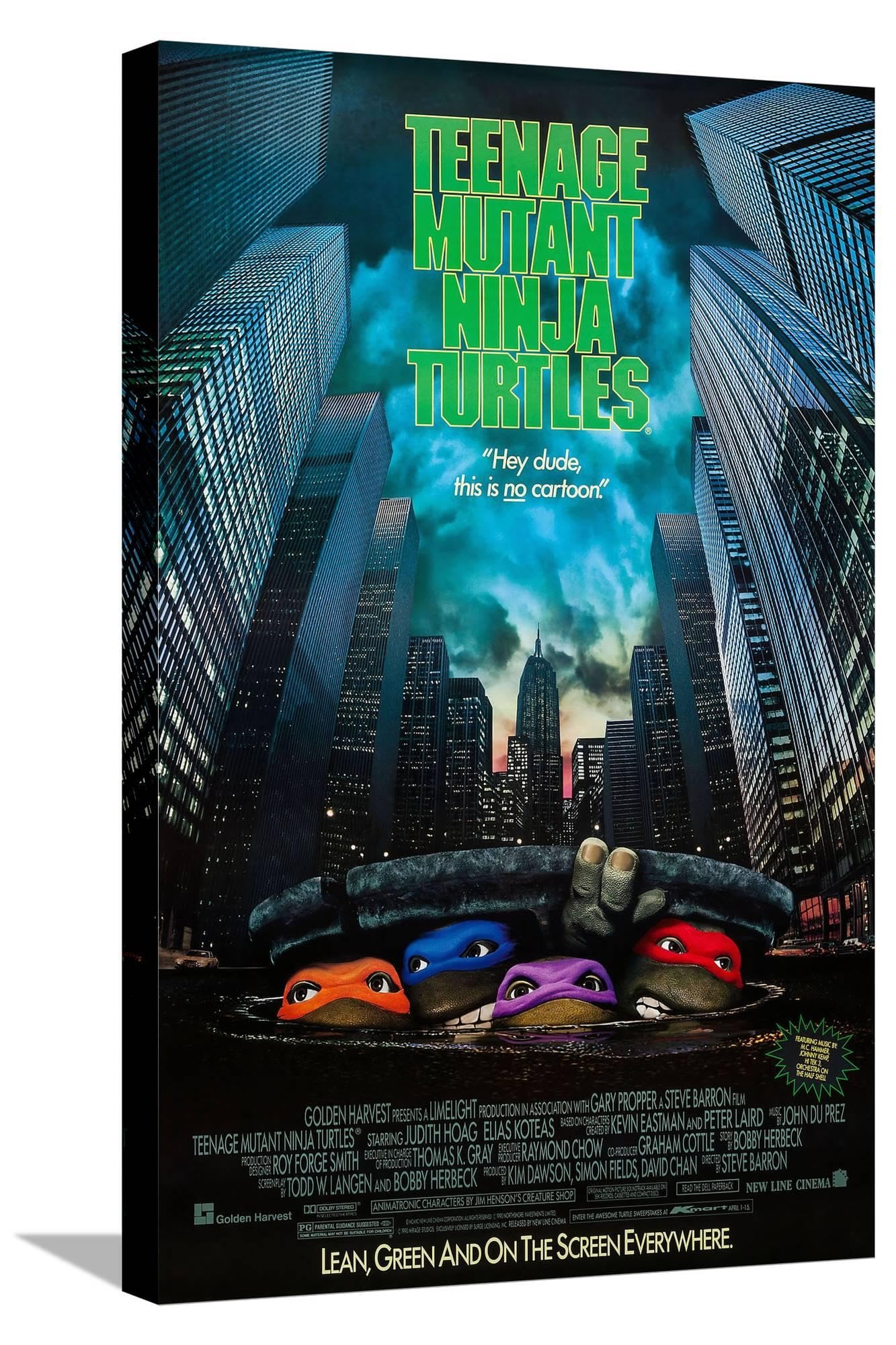 Amazon.com: AllPosters Stretched Canvas Print TEENAGE MUTANT NINJA