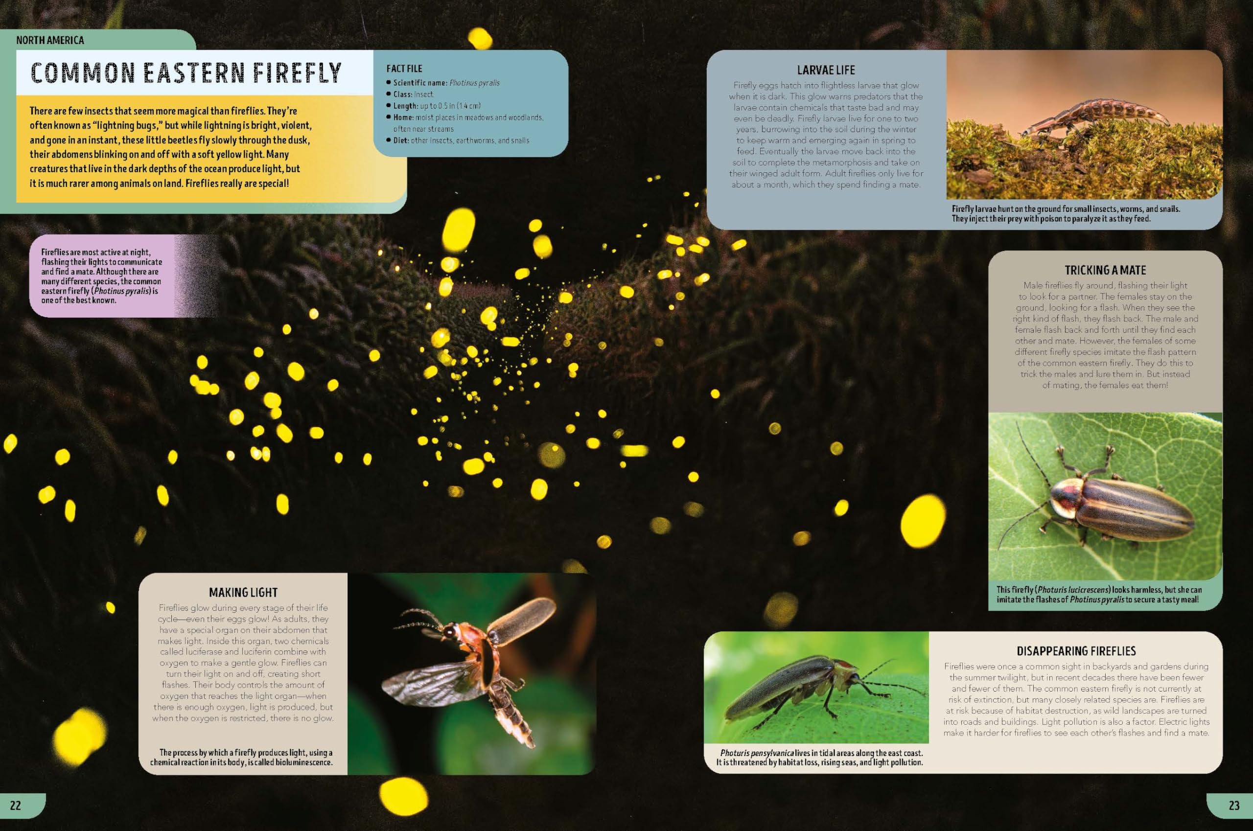 Lonely Planet Kids The Bugs Book: Meet Over 100 Incredible Creepy-Crawlies That Share Our Planet (The Fact Book)