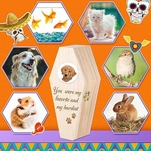 Miniatura 3 de 6 cajas de ataúd de Halloween sin terminar, cajas de madera en forma de ataúd con tapas con bisagras para manualidades, cajas de ataúd de madera