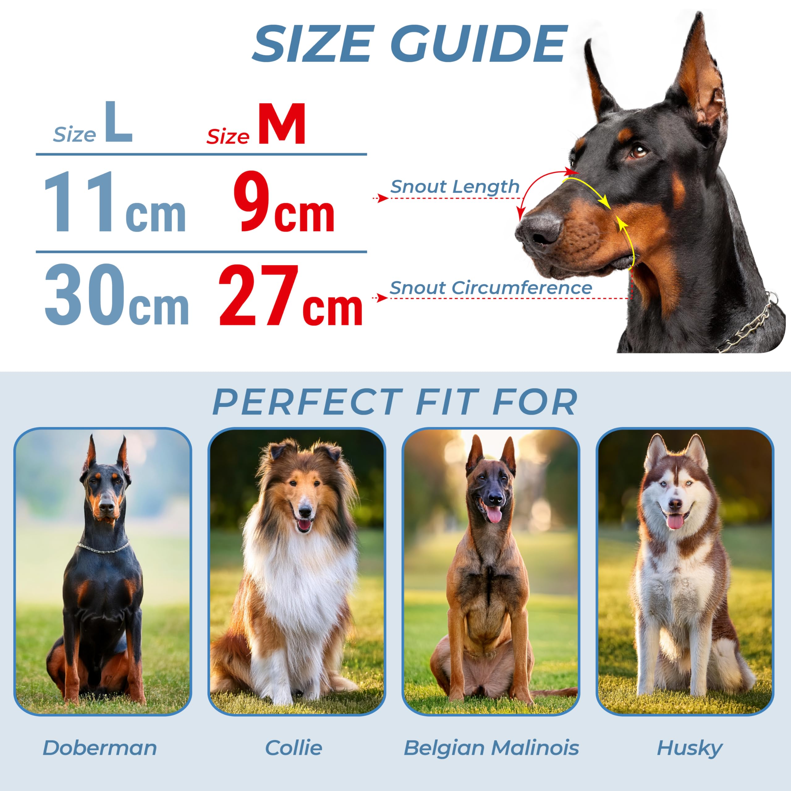 CleverTail Metal Doberman Muzzle for Large Sized Dog, Cage Muzzles for Barking and Prevent Biting - Image 3