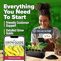 Vista 8 de HOME GROWN Semillas de pimiento dulce de plátano, más de 188 semillas tradicionales sin OMG para plantar, alta germinación, pimientos dulces