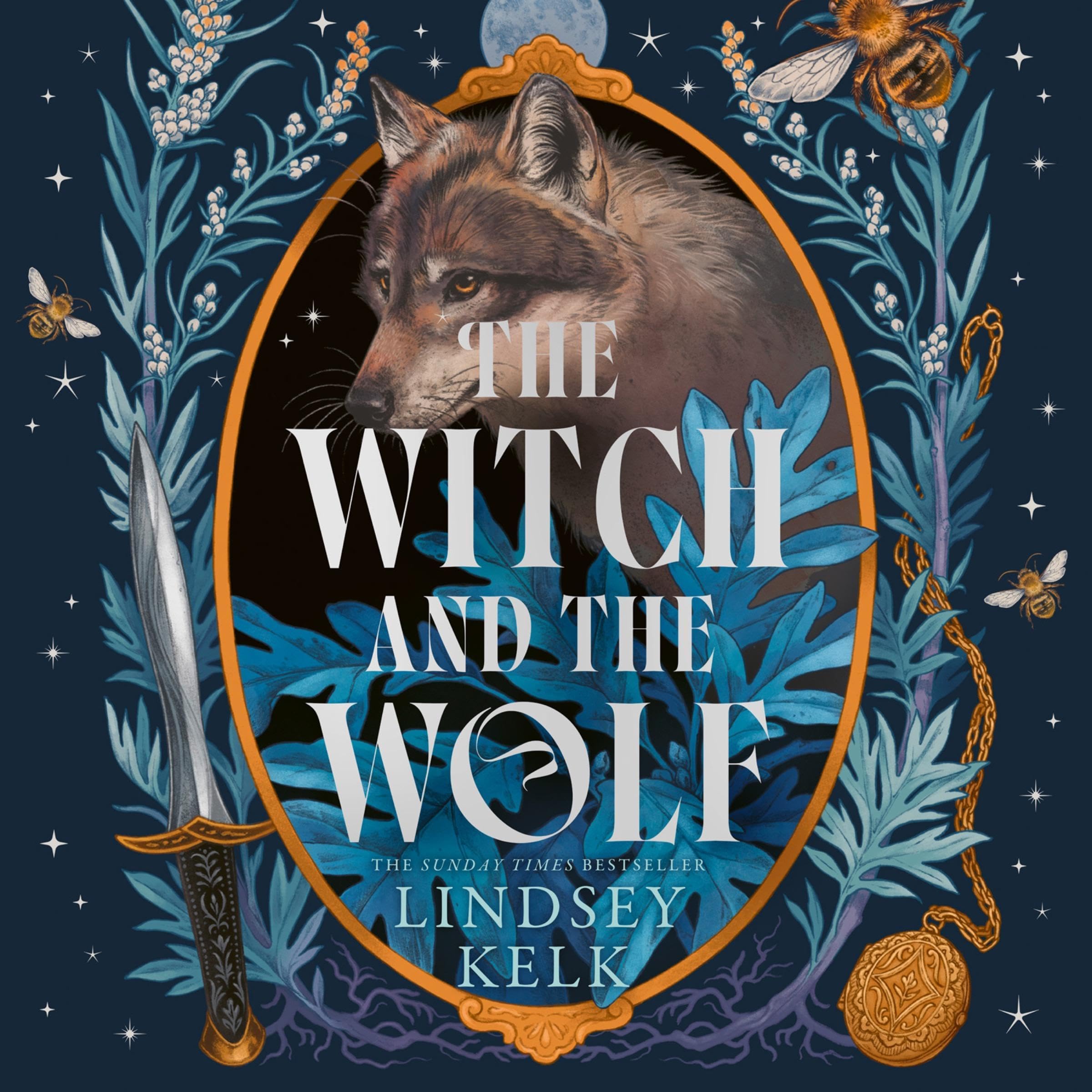 Cover art for The Witch and the Wolf
