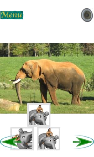 Counting with Animals