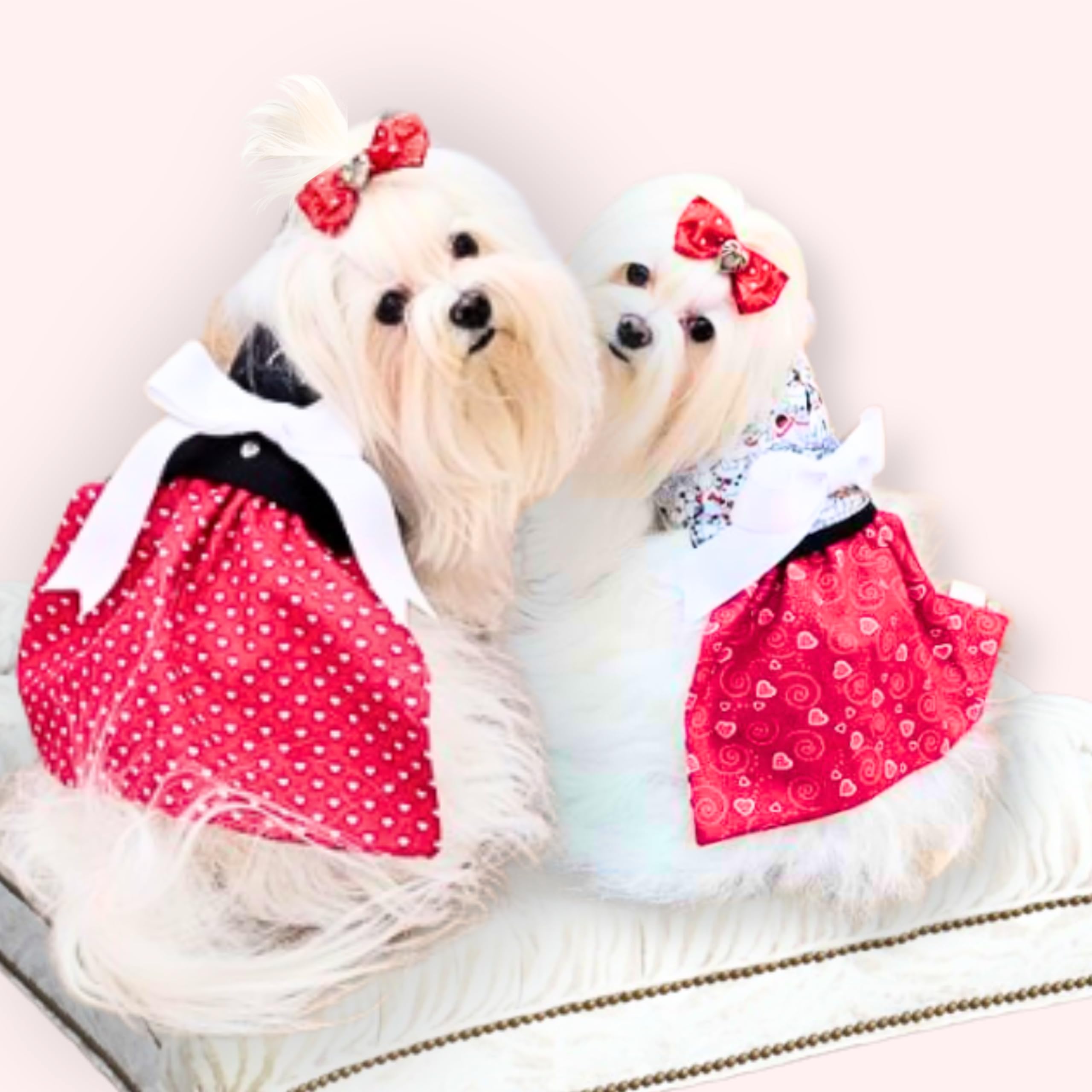 Pixie Rose Dog Harness & Skirt Ensemble - Reversible Small Dog Outfit With Bows