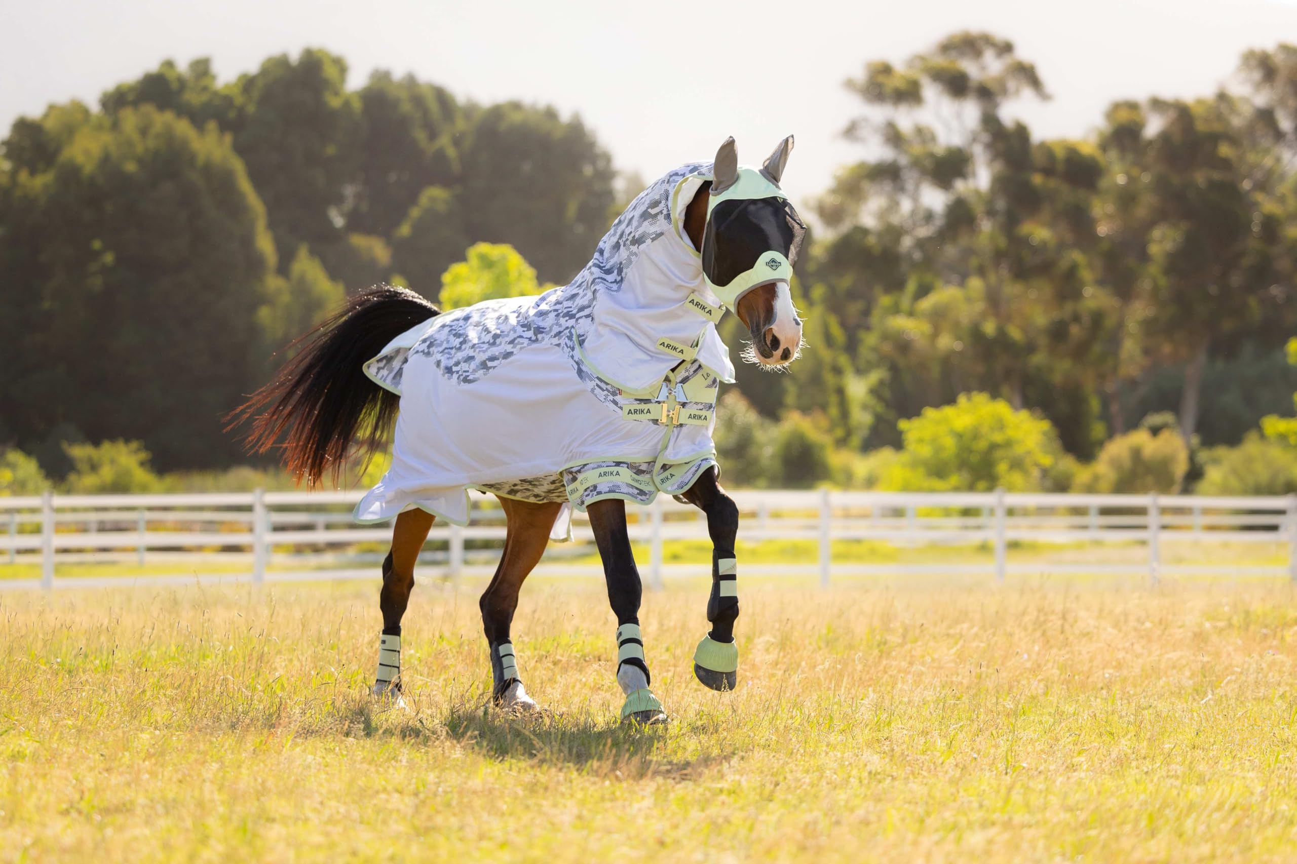 LeMieux Arika Camo-Tek Fly Rug - Alfombra de caballo ecuestre con moscas - Macaron - 6 pies 6 pulgadas