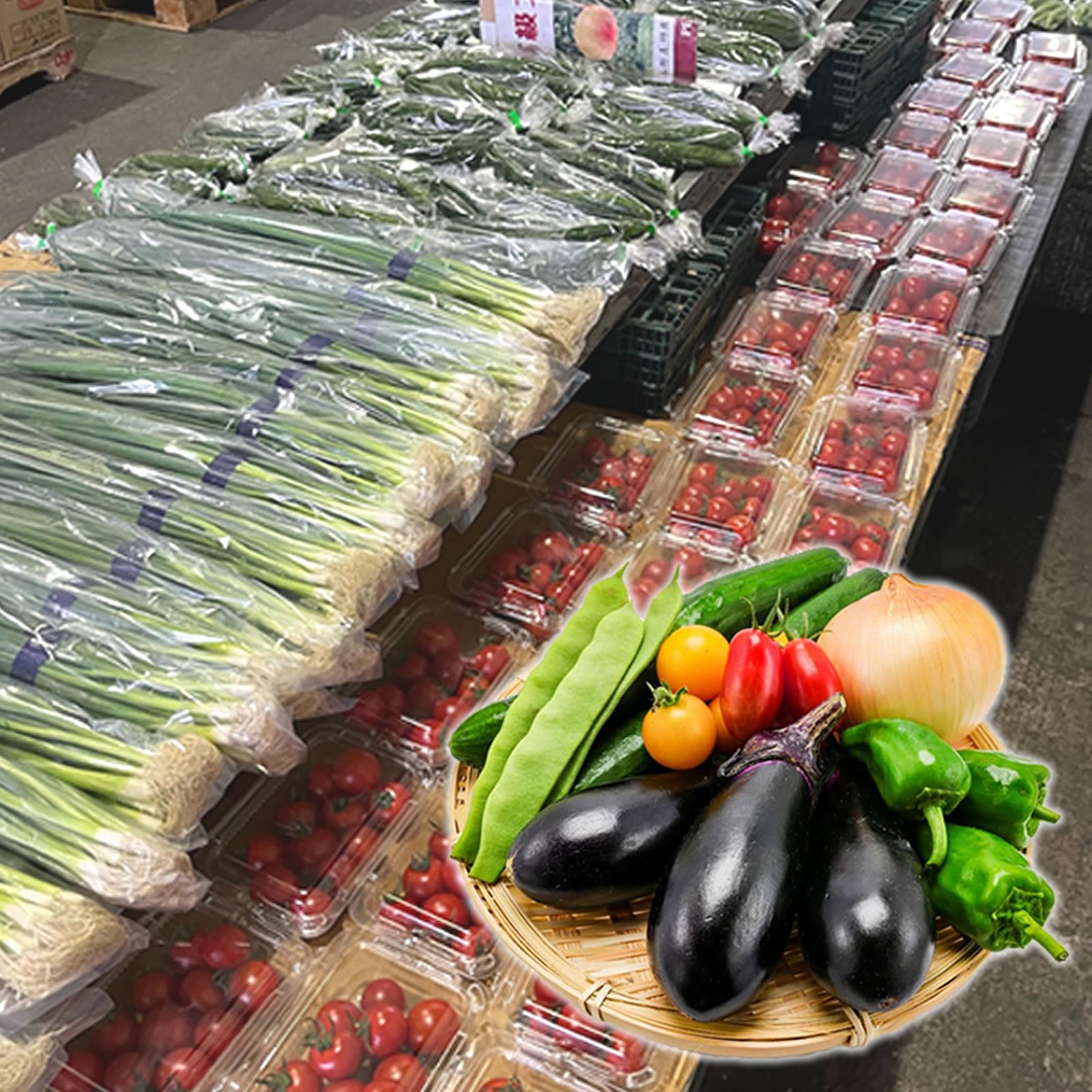 ジェイエイてんどうフーズ 【山形市場厳選】 おまかせ 野菜 セット 7種