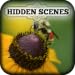 Hidden Scenes - My Little Bees