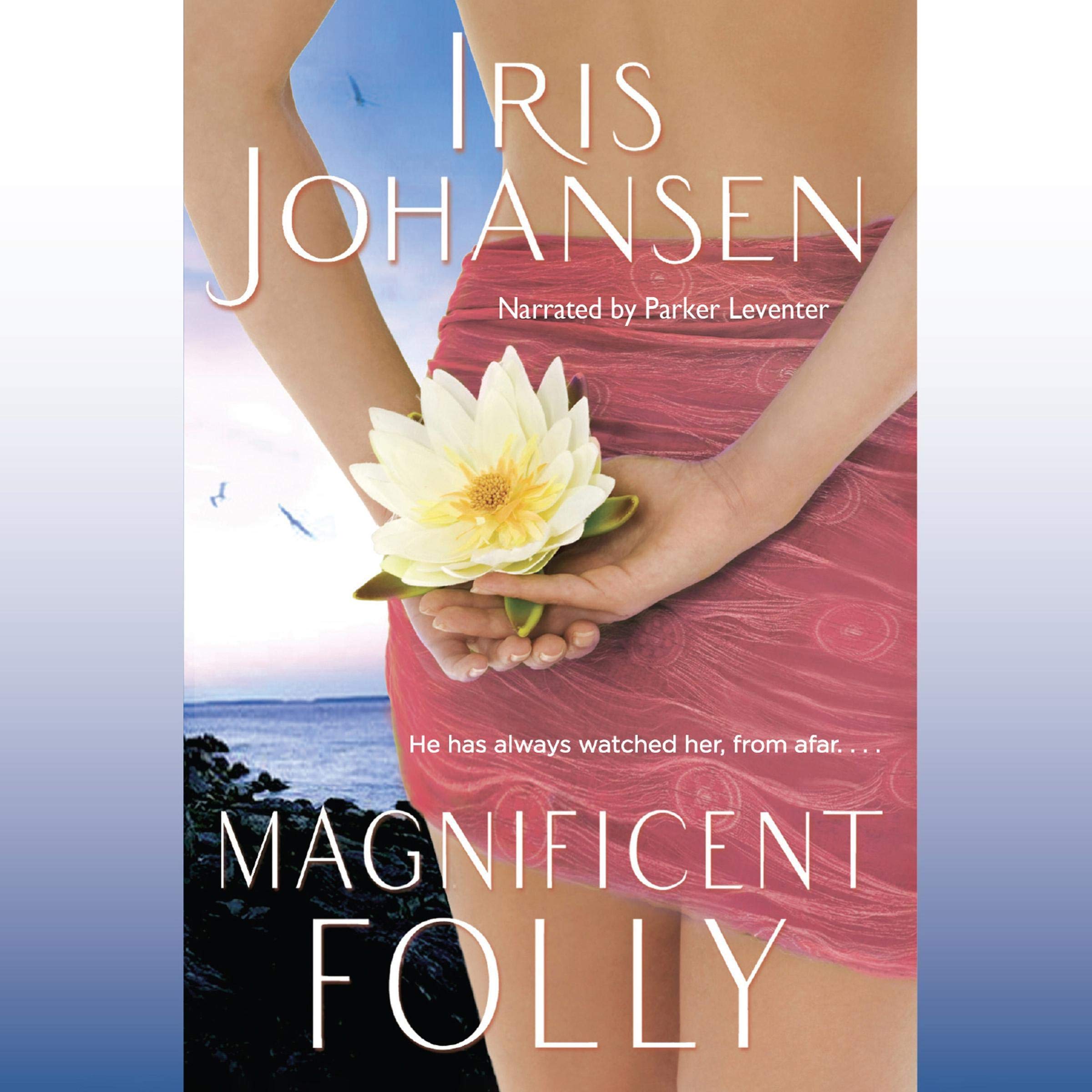 Cover art for Magnificent Folly