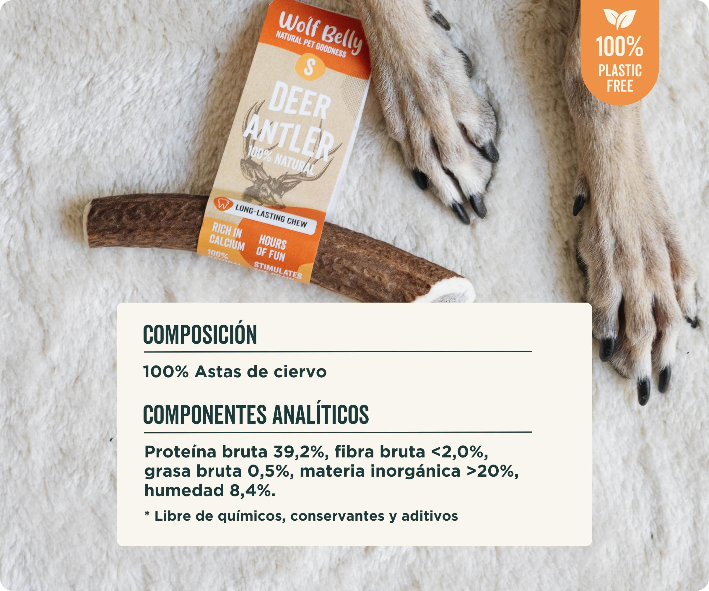 Wolf Belly - Asta de Ciervo para Perros 100% Natural (Talla XL) Mordedor Seguro y Duradero | Reduce Sarro y Placa | Rico en Calcio y Proteínas | Calma Estrés y Ansiedad | Sin Olor - Hecho en España