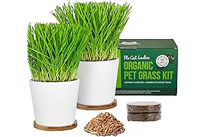 Cat Ladies Cat Grass Indoor Garden Kit for Cats to Eat Natural Hairball Remedy