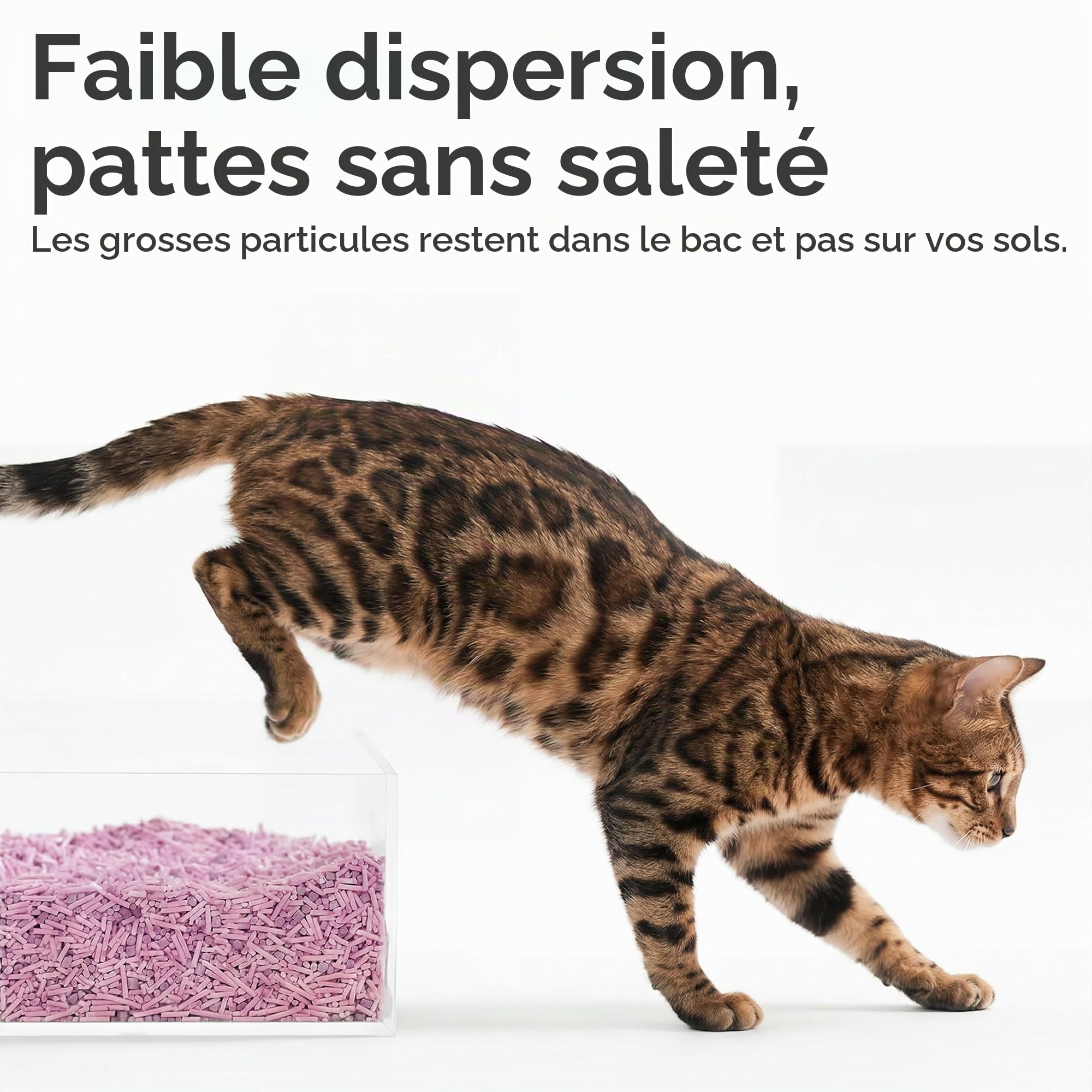FUKUMARU Litière pour Chat au Tofu, Parfum Lavande, Agglomération Ferme, Contrôle Naturel des Odeurs, Faible Poussière, Granulés Végétaux Jetables aux Toilettes, 2,7kg x 4