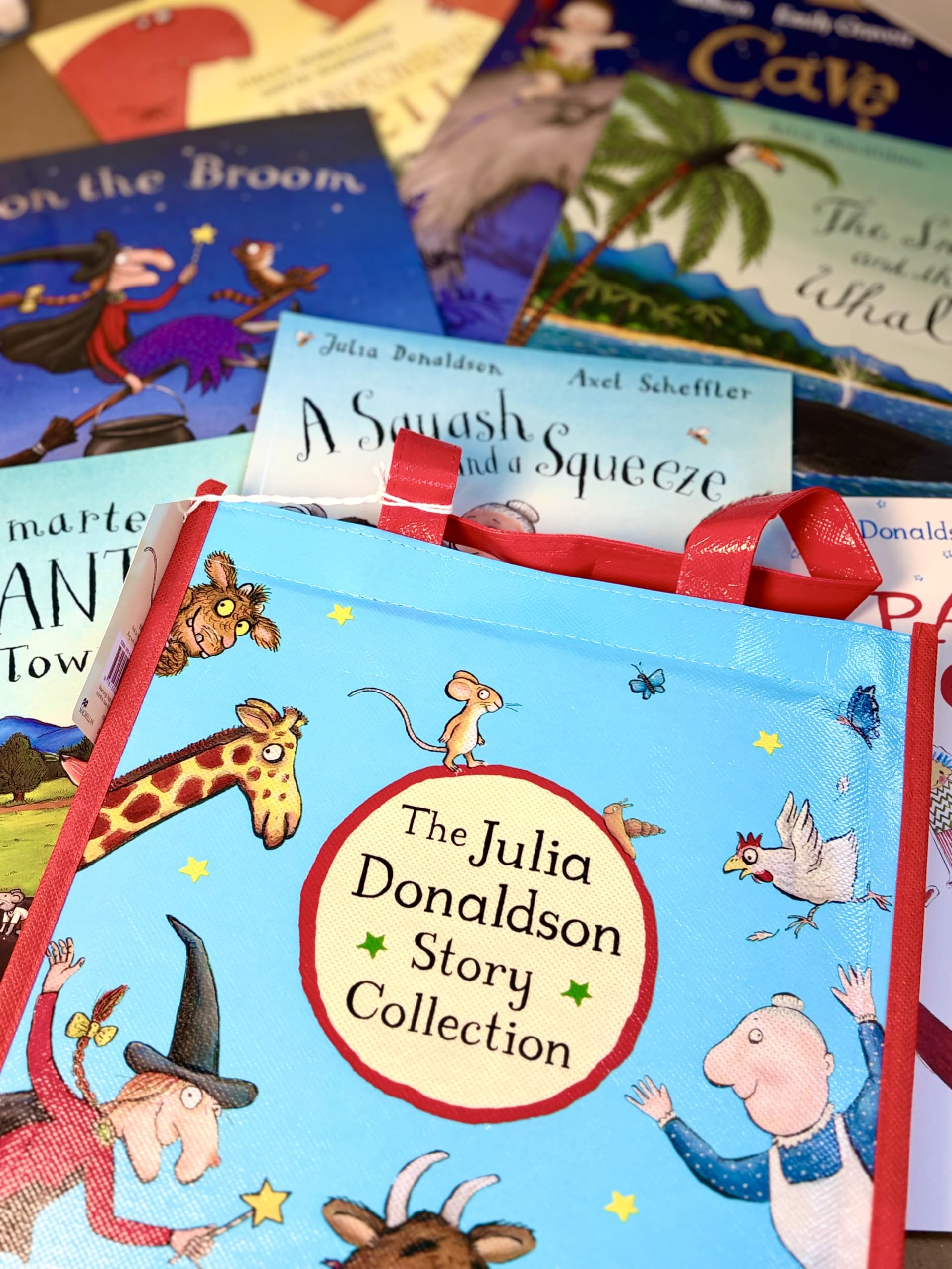 Julia Donaldson X10 Ziplock Pack 2015