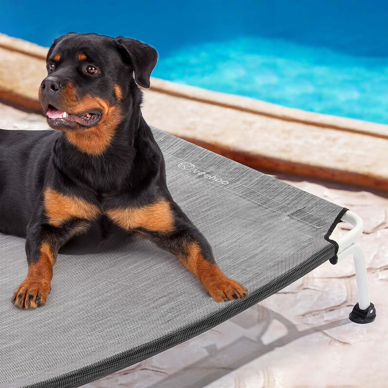 Veehoo Elevated Dog Bed for Outdoor, Cooling Waterproof Raised Dog Cots Beds XL, Curved Off Ground Pet Hammock Cot Lifted for Outside, up to 150lbs, White Legs, Black Silver 49"