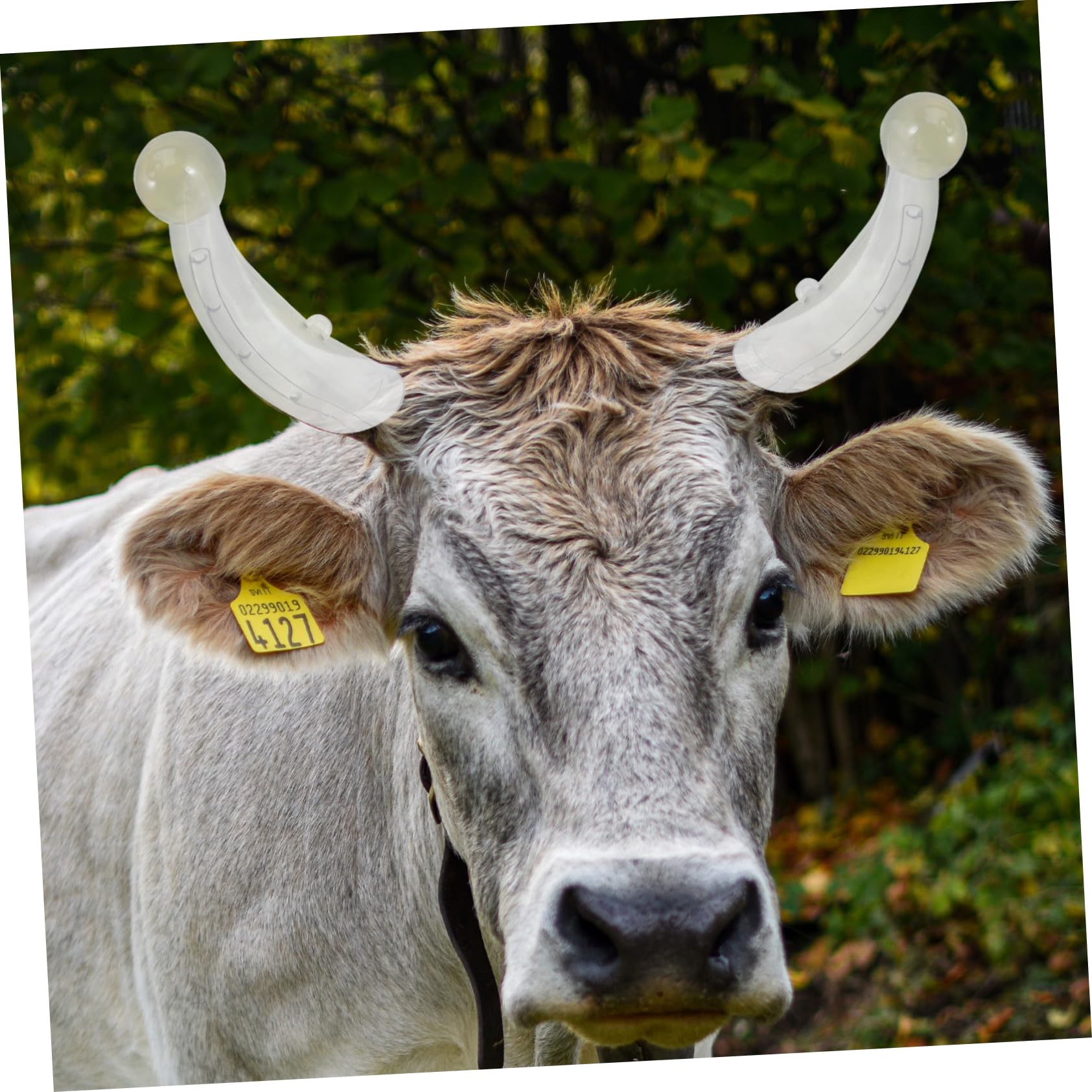 OFFSCH 2Pairs Cattle Horn Protective Covers Horn Protection Sleeves for Adult Cattle of Thickened Silicone Calf Horn Covers with Air Vent Design Convenient Farm