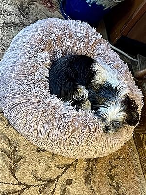 pawbarksit calming bed