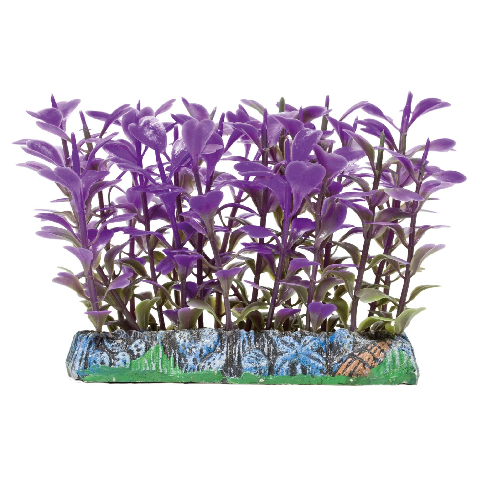ICA AP1213 Trichocoronis Aquatic Plants Plastic