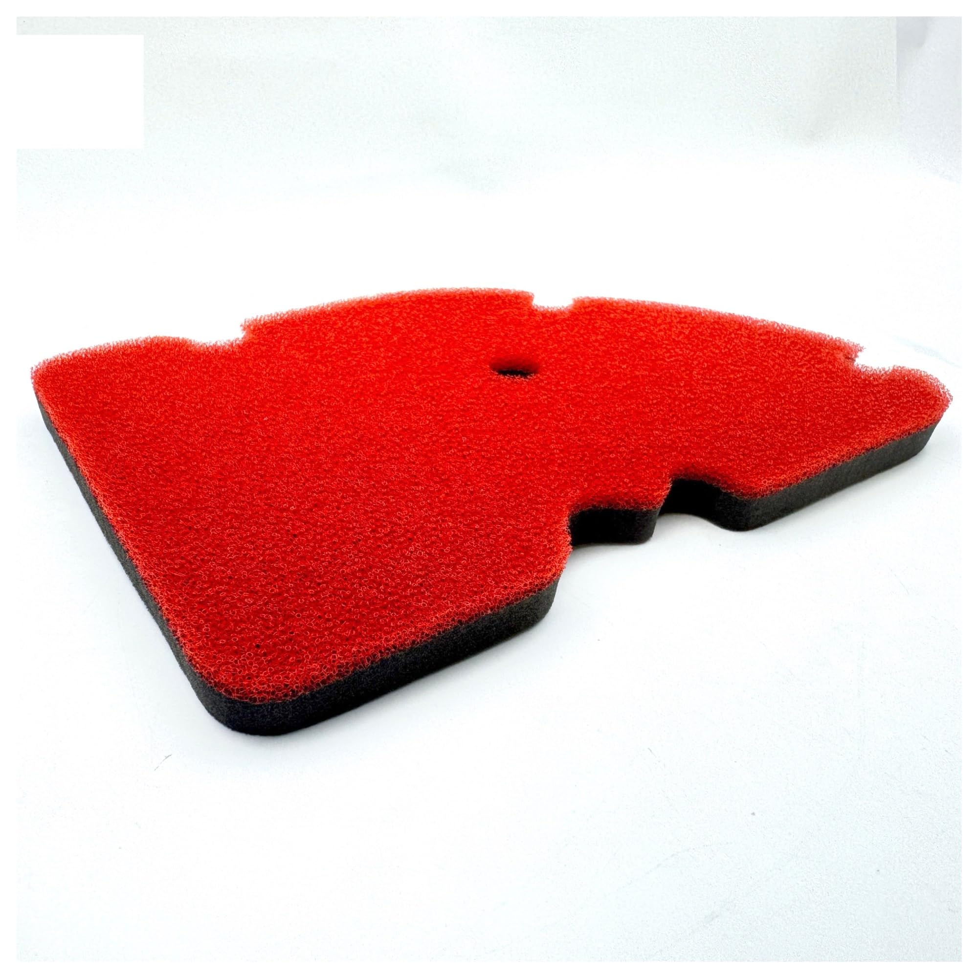 Filtro Aire Motocicleta Scooter Filtro de Aire para Motocicleta Motor Bicicleta Limpiador para admisión para Piag&GIO para Ves&pa para GTV250 GTS300 Esponja