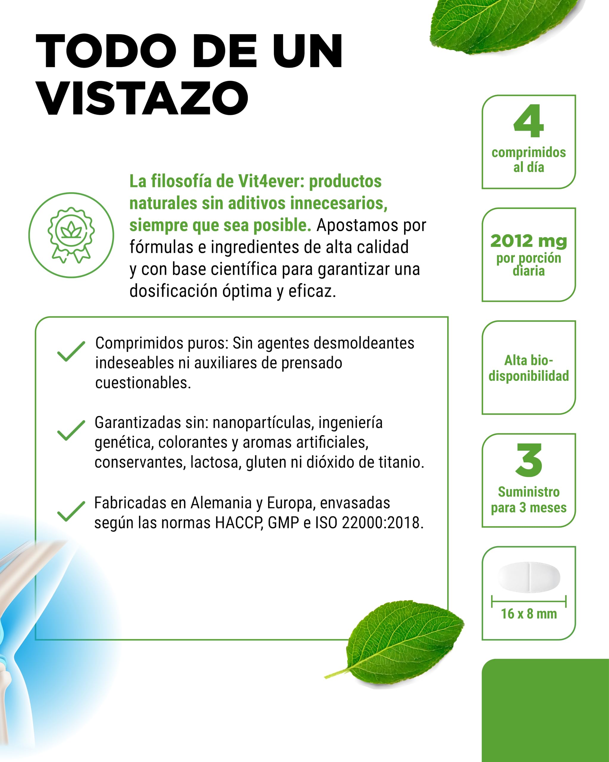 Glucosamina Condroitina MSM - 365 Comprimidos - Altamente dosificado con 2000 mg al día - Suministro para 3 meses - Sin aditivos no deseados