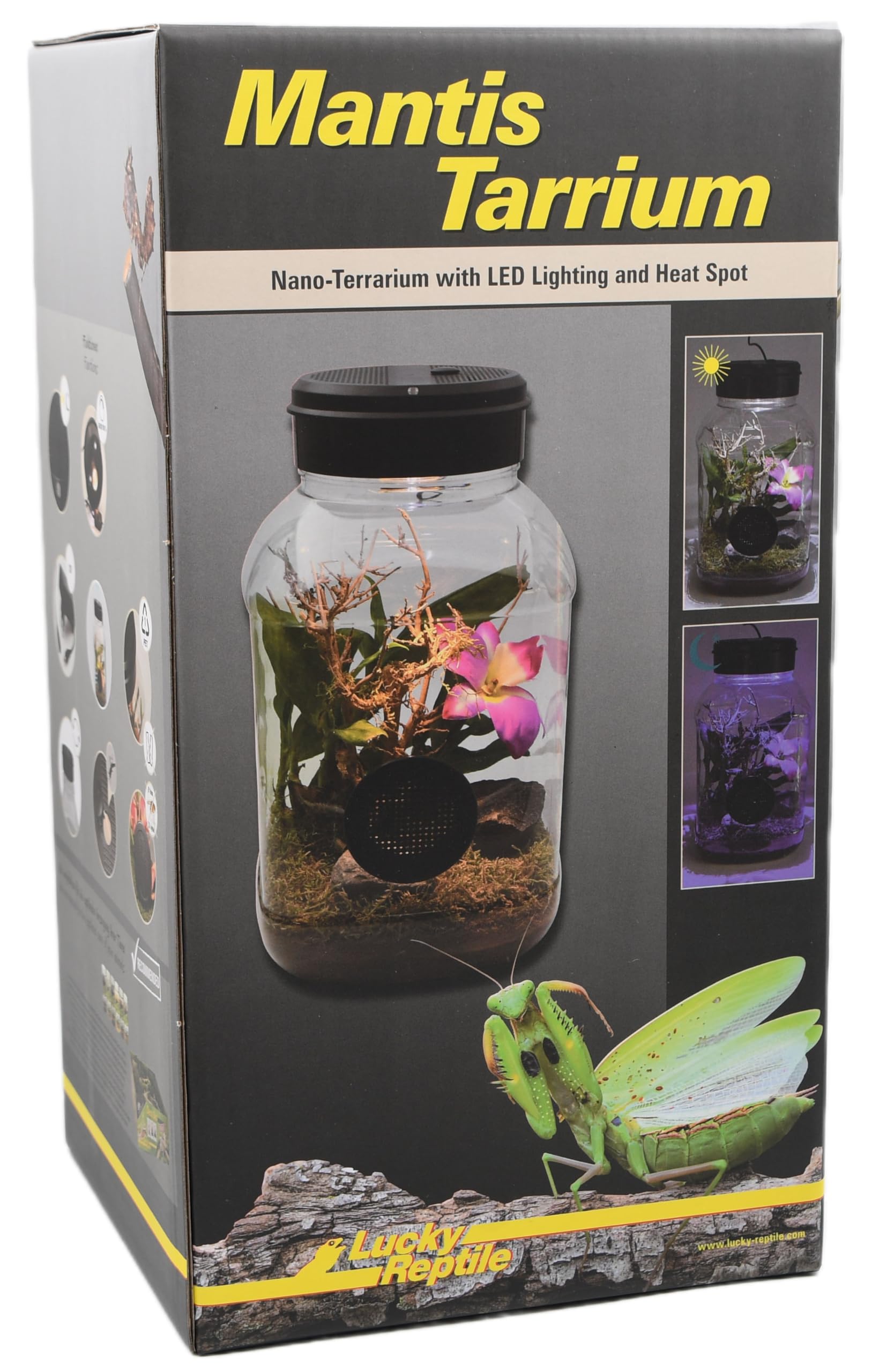 Lucky Reptile MantisTarrium
