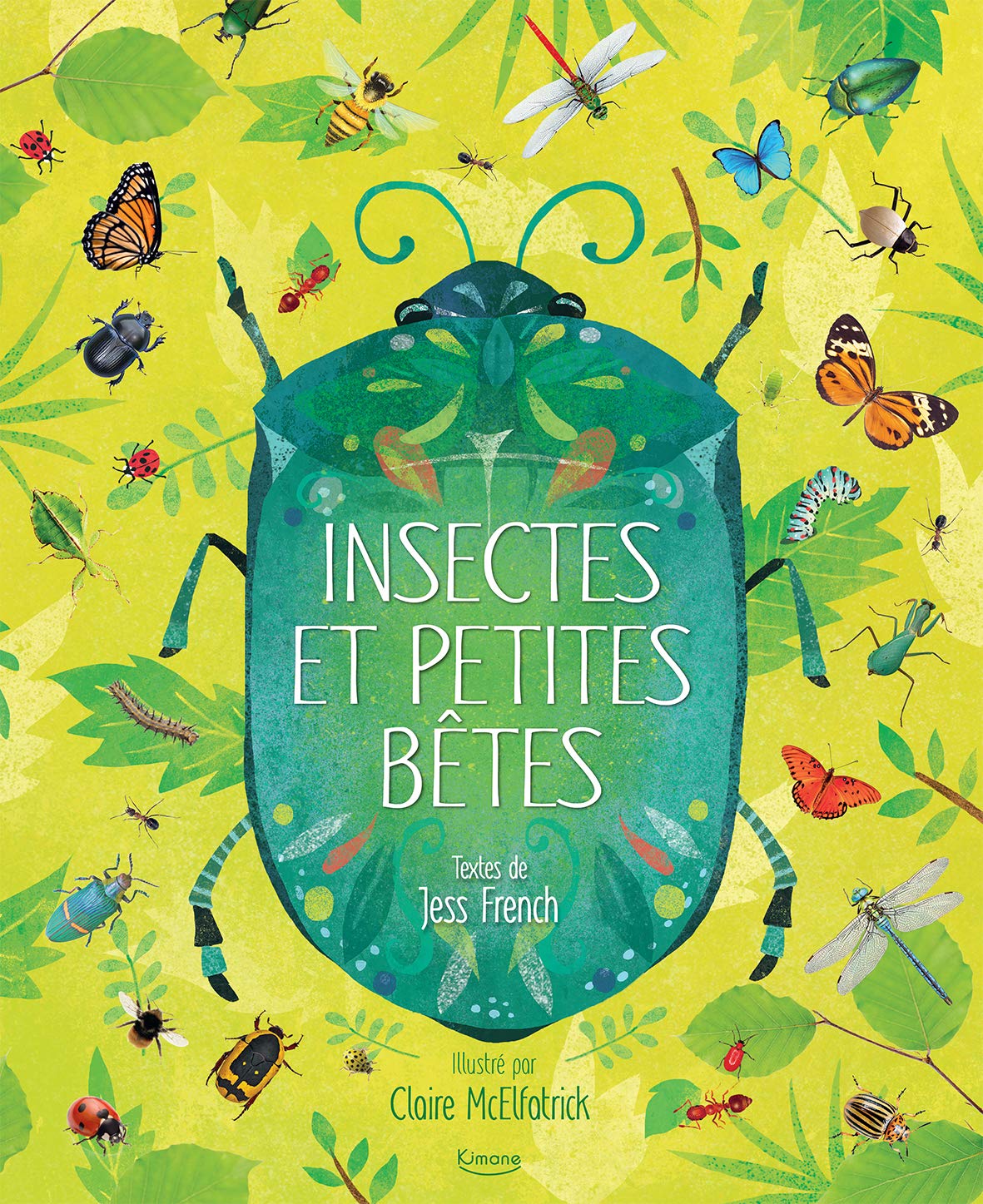 Insectes et petites bêtes : French, Jess, Mcelfatrick, Claire: Amazon ...