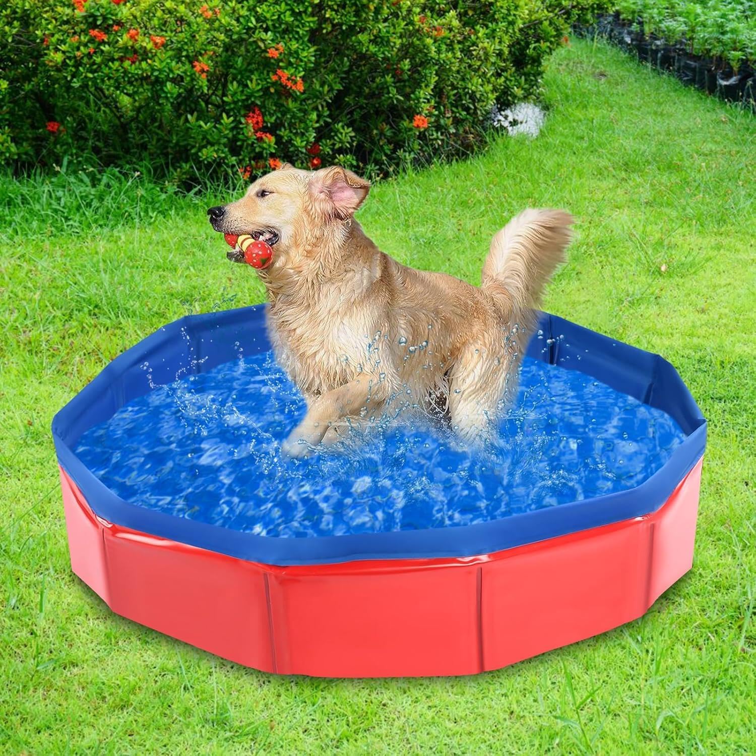 Pzuryhg – Piscine Pliante PVC Antidérapant – Pour Enfants Et Chiens, Tailles S (152 Cm) Et M (183 Cm), Portable