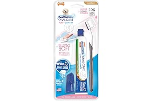 Puppy Toothbrush: Nylabone Advanced Oral Care Kit with Toothbrush