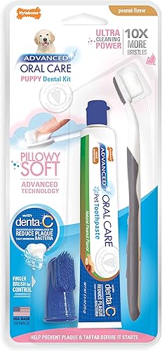 Nylabone Advanced Oral Care - Kit dental para cachorros con cepillo de dientes de cerdas suaves y almohada mantequilla de maní (3 unidades)