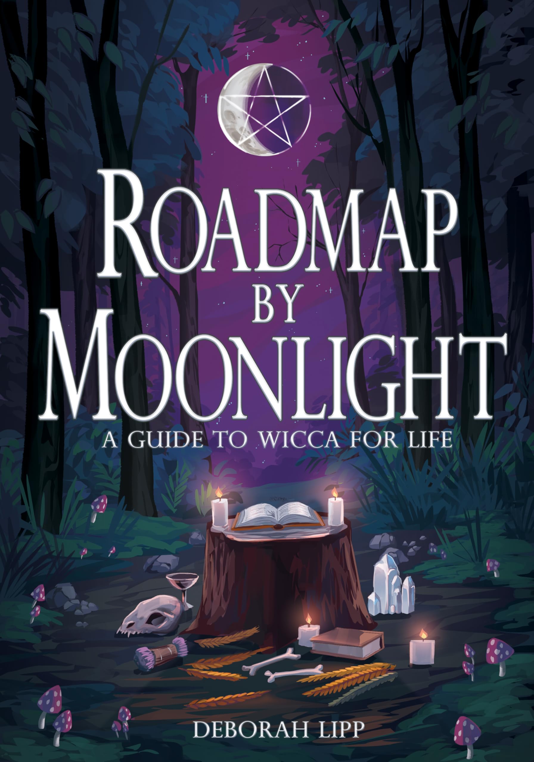 Roadmap by Moonlight by Deborah Lipp PAPERBACK 9781968185121